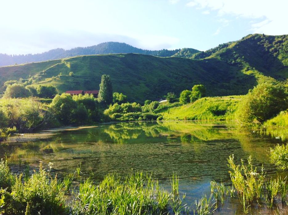 Дом в аренду посуточно