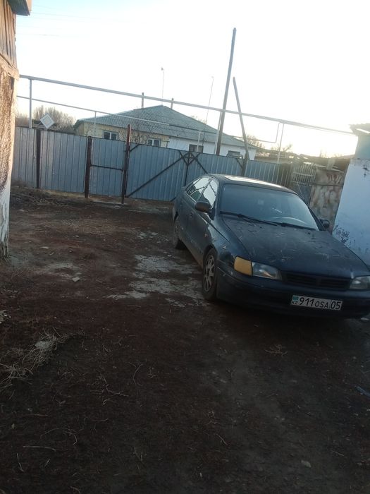 Продам Карину Е , Талдыкорган