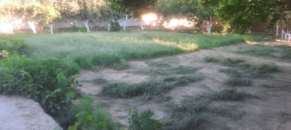 беда  сотилади...