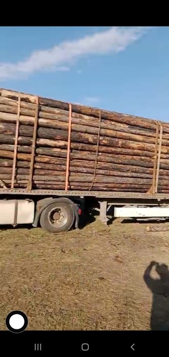 Кругляк 6 метровые