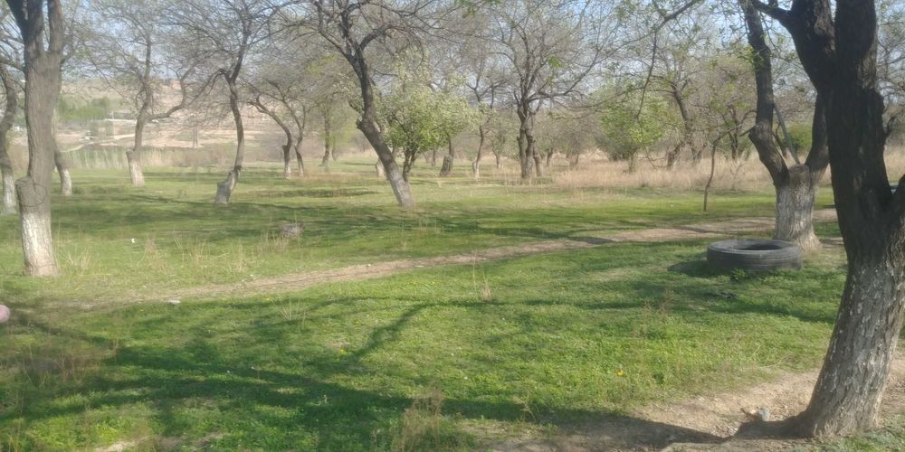 ховли ва бог сотилади