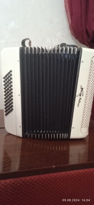 Роритетный аккордеон "ТУЛА".