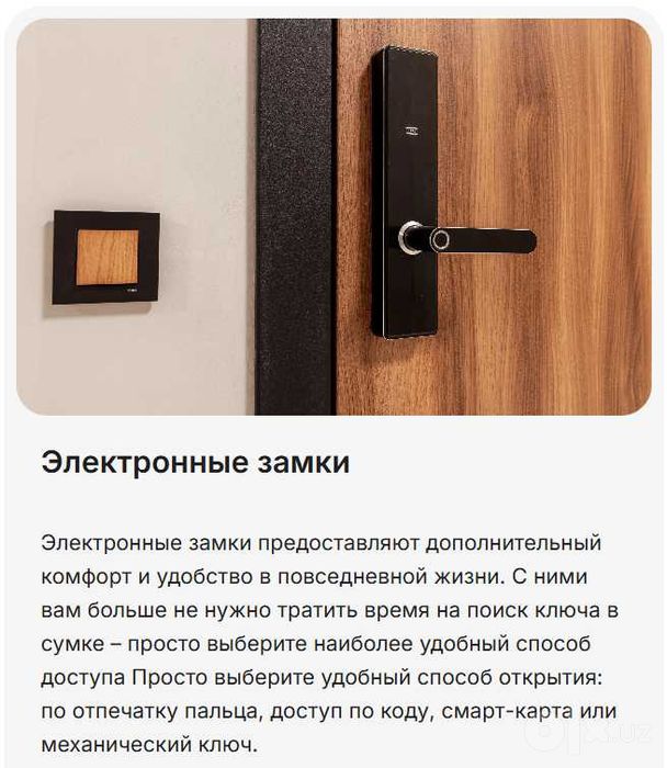 Flagman  NRG-BI Business+