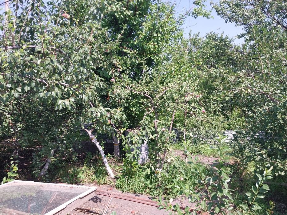 Дача на бугарках