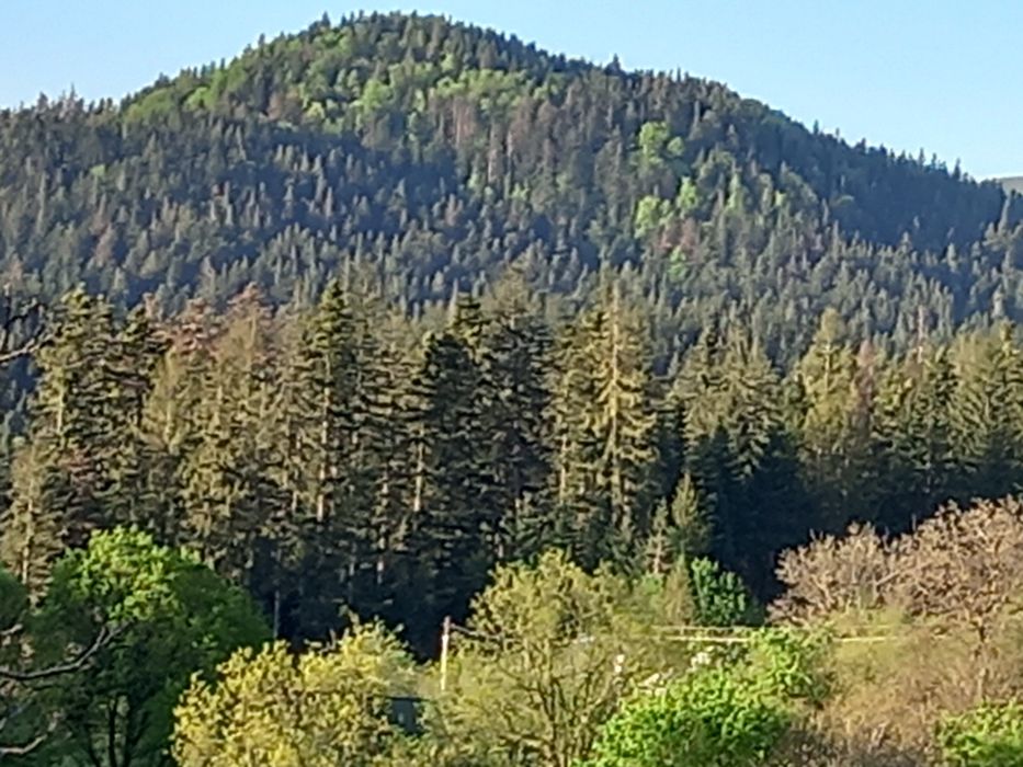 La 500 m de MĂNASTIREA VĂRATEC CASA de vanzare sau TEREN zona de maici