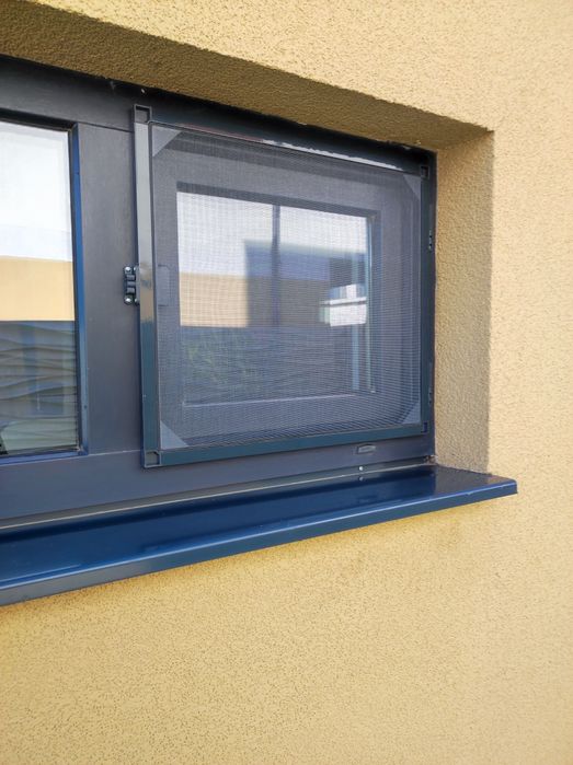 Plase tantari pe balamale București