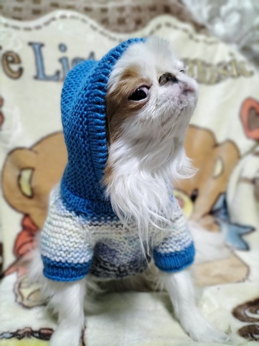 Вязанки для собак.