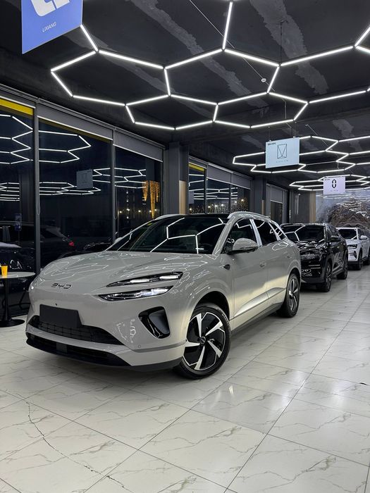 "Byd sea lion 06 ev"