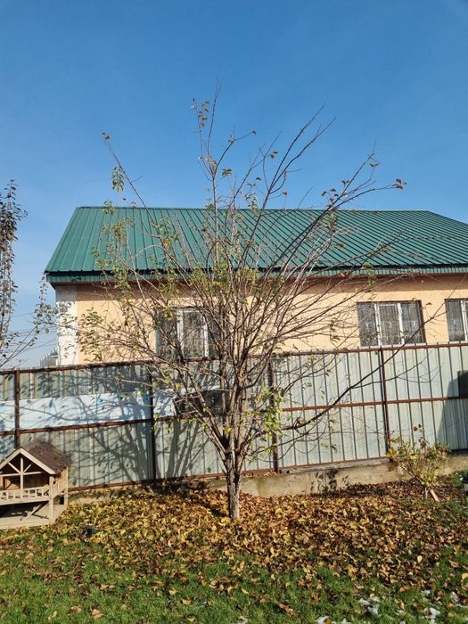 Обрезка плодовых деревьев,обработка сада