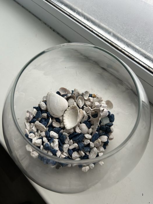 Аквариум для маленьких рыбок