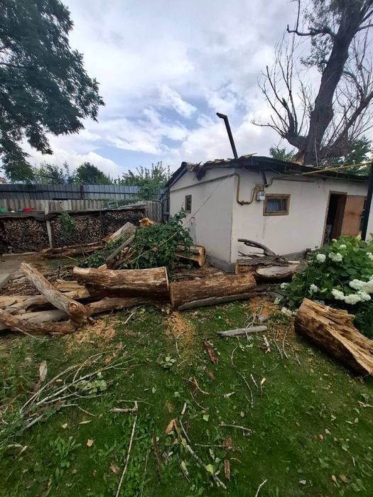 Ағаш кесу спил деревье