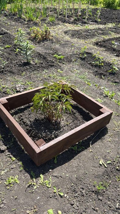 Продам дачу д/о Каштан