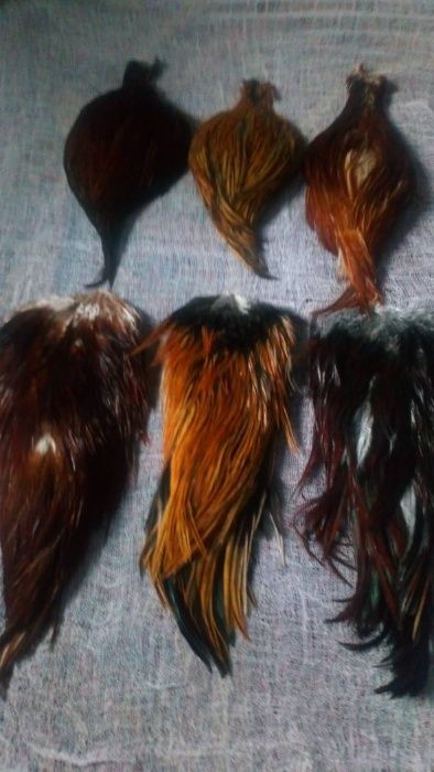 продам скальп и седло петушков