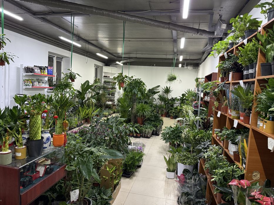 Продам готовый бизнес