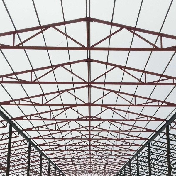 Naves ferma katta va kichik hajimda 24/7