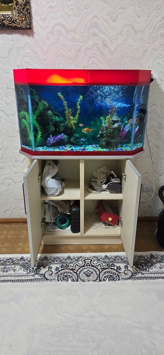 Аквариум 240 литр с тумбой+рыбой +доставка