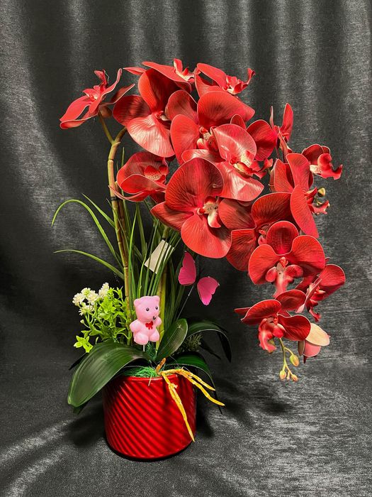 Aranjament de orhidee premium