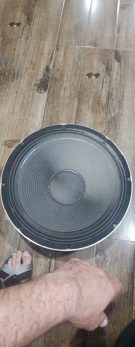 Doua difuzoare 32cm si doua goarne Piezo
