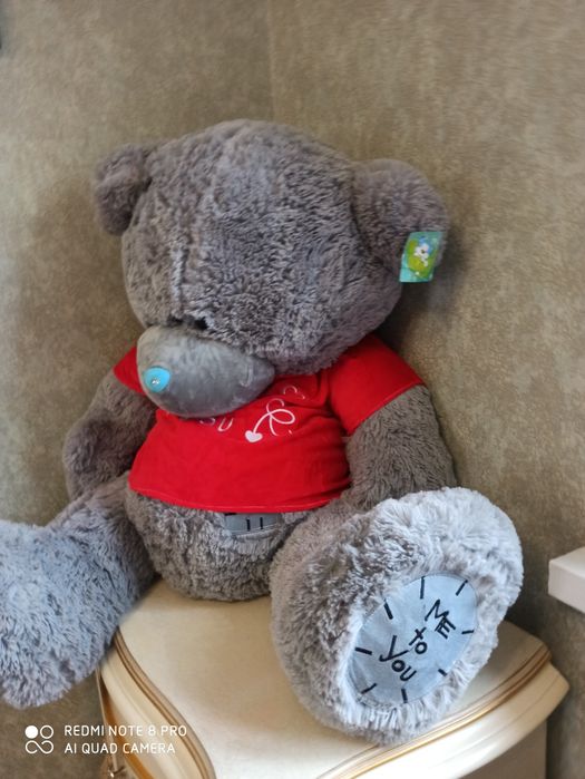 Teddy ойинчок янги биркаси билан