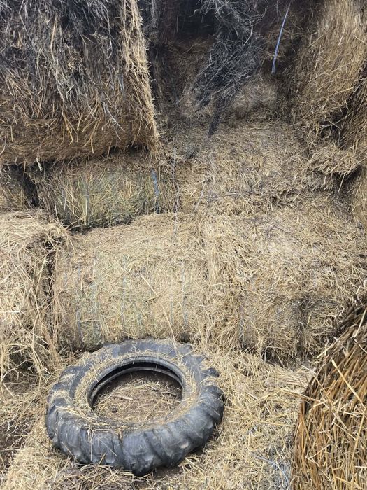 Vand baloti paie, lucerna, ciocani