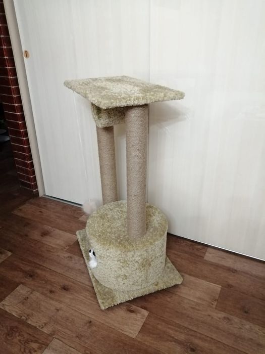 Шикарные домики для кошек