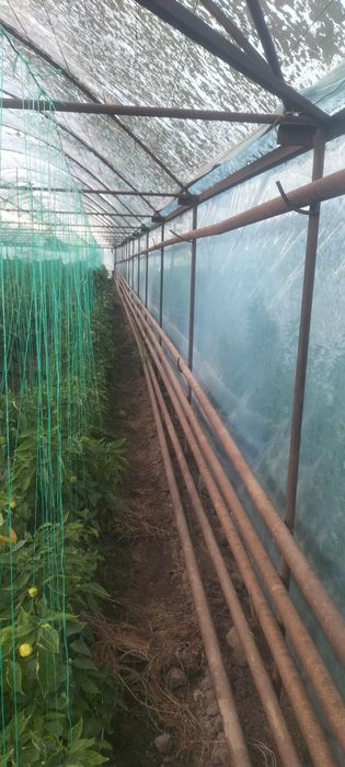 Теплица 30 соток
