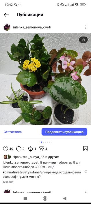 Набор из растюшек