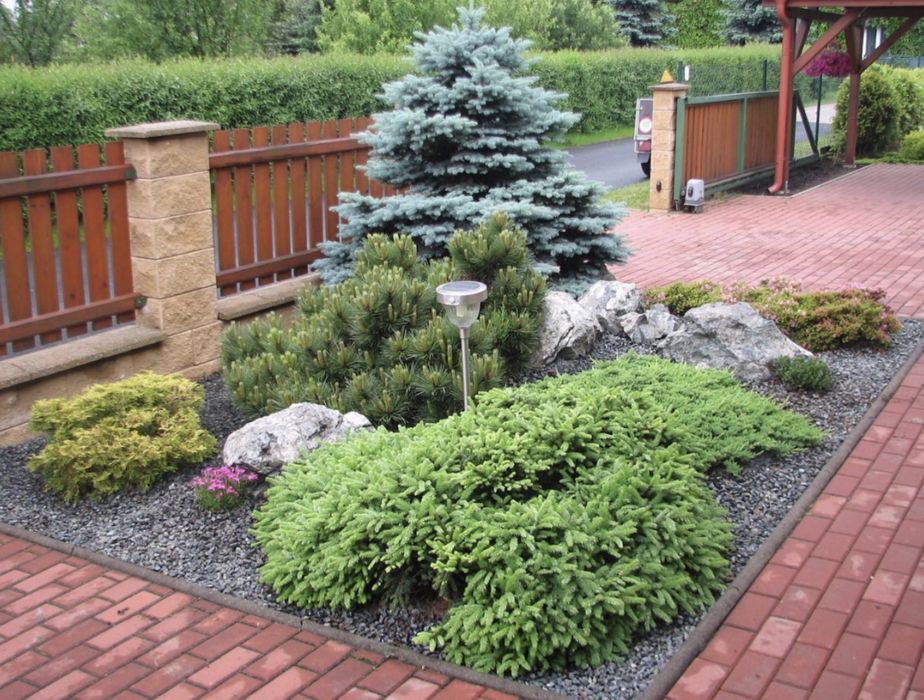 Голубые ели Блю даймонд