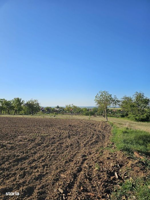Teren intravilan Cetariu 5000 mp