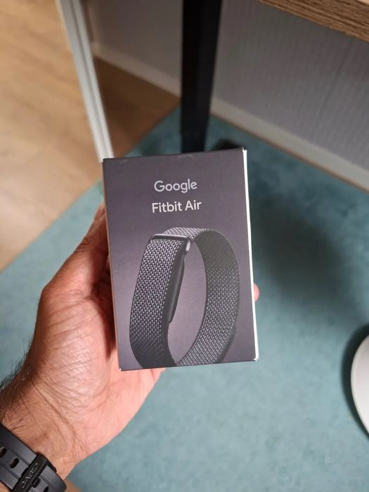 Google Fitbit Air