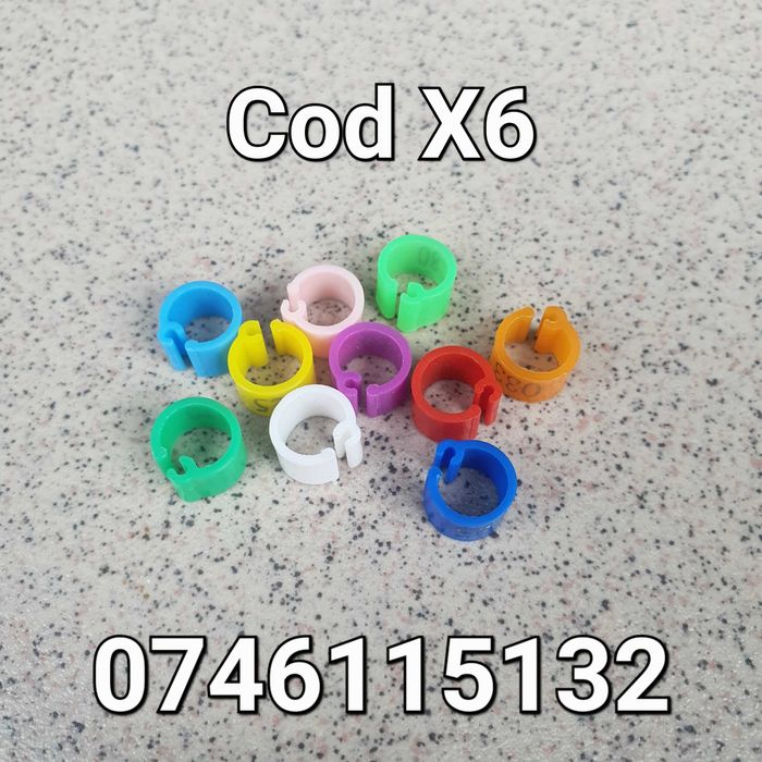 Pasari Domestice – Pasari Papagal Porumbei Gaini Fazani Prepelite – Cleme de 6mm – X6