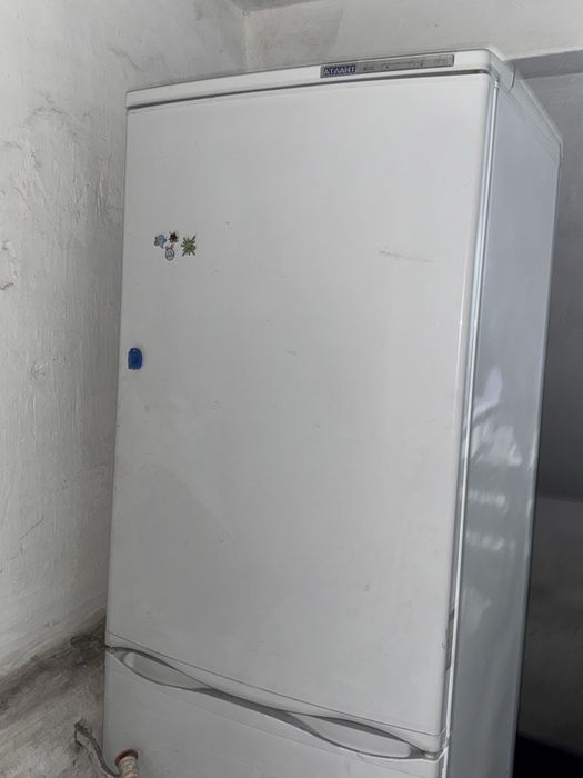 Отдам даром даром даром