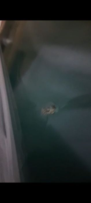 Маркерные доски со скидкой в Астане