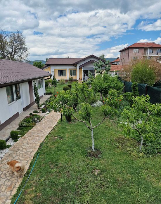 Гледане на кучета