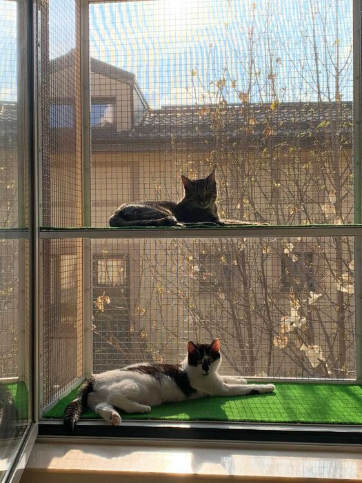 Plase metalice de protectie pentru pisici si insecte/custi/usi/balcon