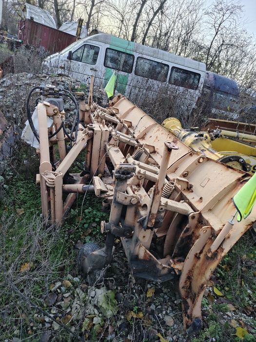 Sărăriță +lama de zapada