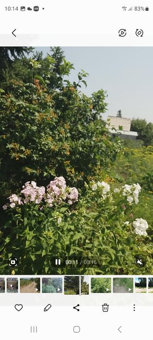 Продам дачу.Можно под жильё.