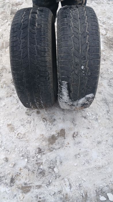 Срочно Продам ризину