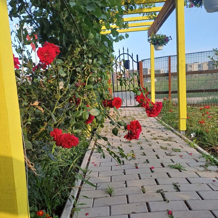 Casa de vânzare Otopeni