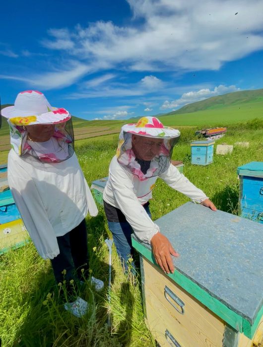 Мед. Катон Карагай. Алтай. Шымкент.