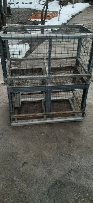 Брудера для перепёл, цыплят