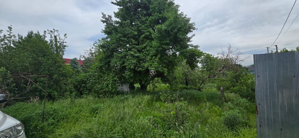Продам дачу общество садовод.