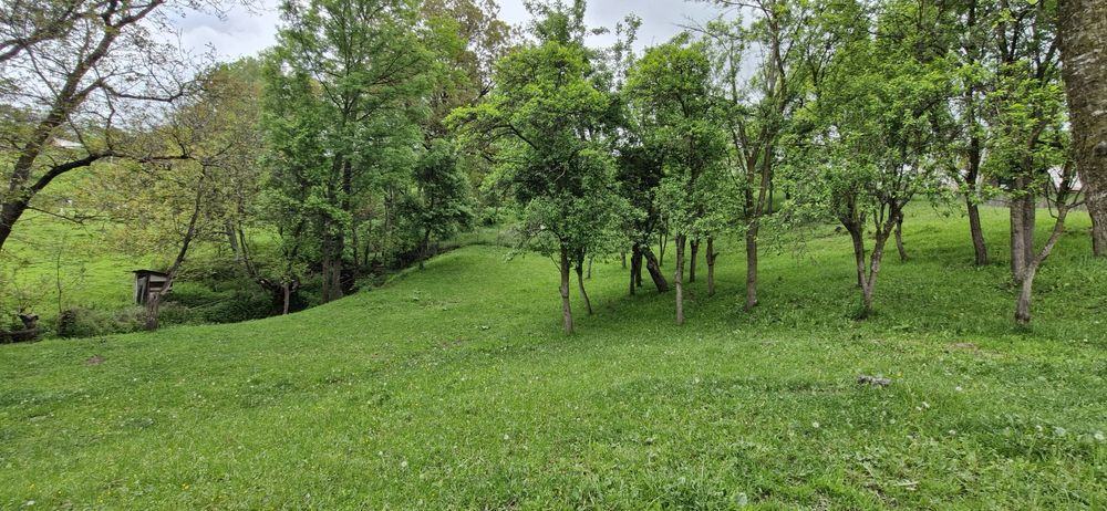 Teren intravilan munte - Arefu (Transfăgărășan)