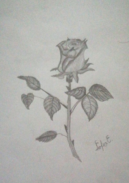 Portrete, natură statică și peisaje la comandă