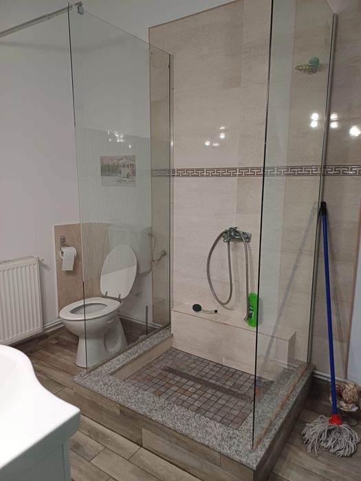 Casa si spatiu comerical de inchiriat