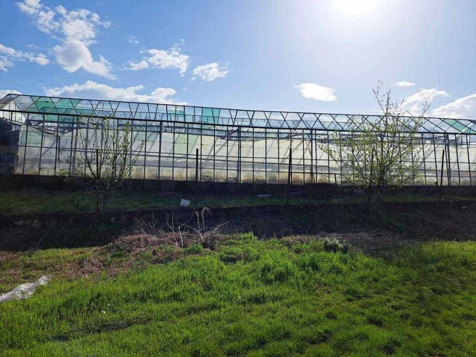 Продава се Заведение в Димитровград - 900 кв.м за 50 €/кв.м - Снимка #6