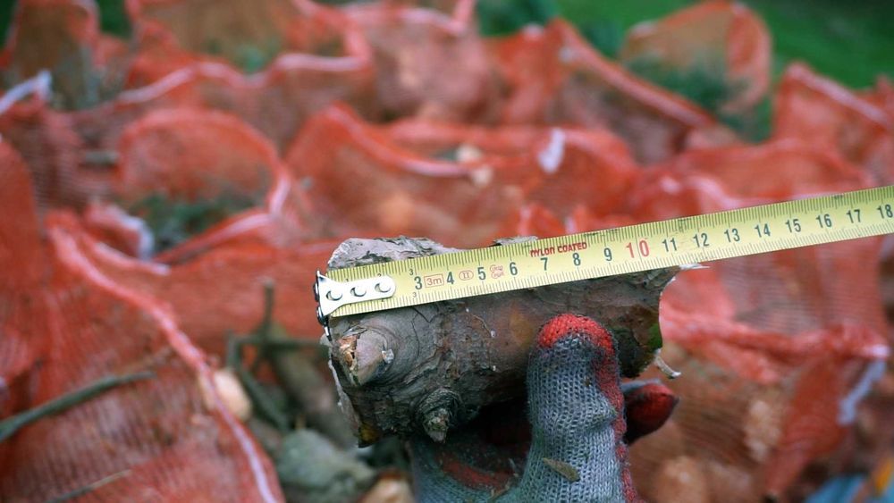 tocător crengi la tractor  r 60