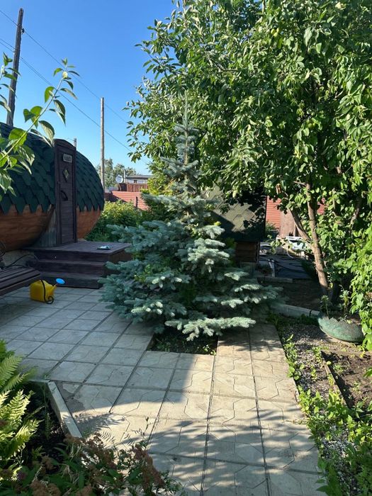 Продам дачу в СО Садовод