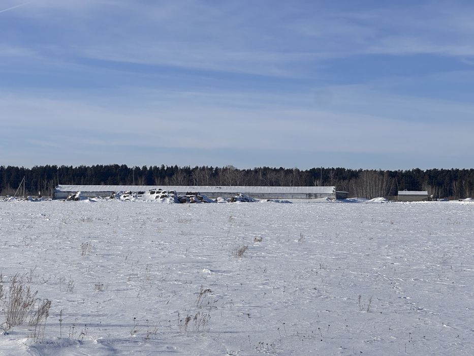 ПРОДАМ БАЗУ животноводство растеневодство