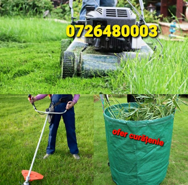 Tai iarba tund defrisez teren gard viu taiem pomi cu drujba copaci